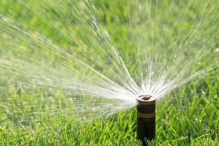 How Phoenix Homeowners Can Reduce Water Bills Without Sacrificing a Beautiful Landscape Thumbnail