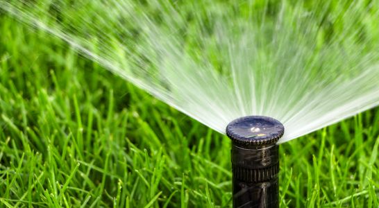 Spring Irrigation System Check: Prepare Your Phoenix Lawn for the Hot Months