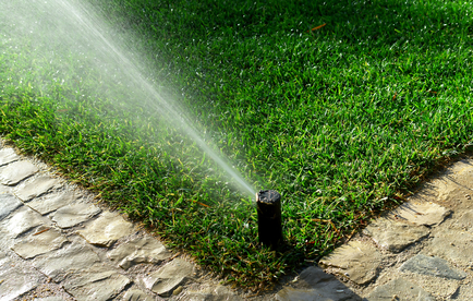 Top Ways to Save Water with Your Irrigation System in Arizona