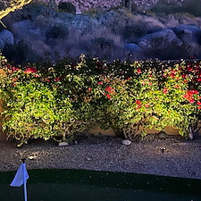 Lighting Gallery 14