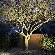Lighting Gallery 10