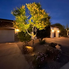 Lighting Gallery 9