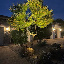Lighting Gallery 8