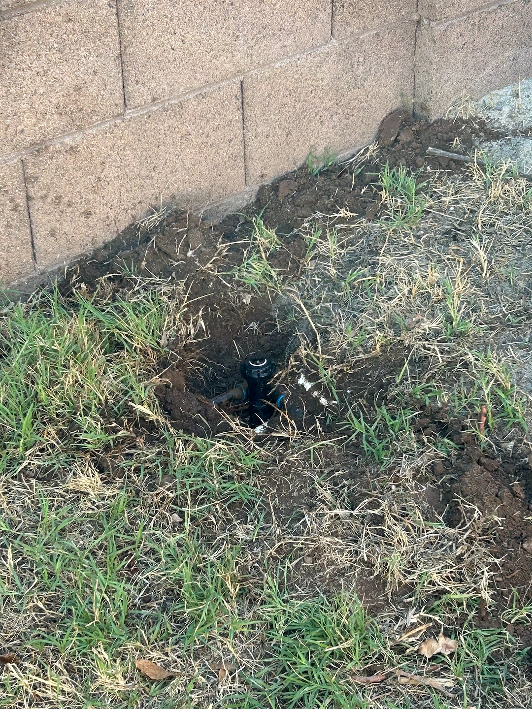 Central Phoenix Sprinkler Replacement