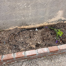 Flower-Bed-Drip-System-Installation 2