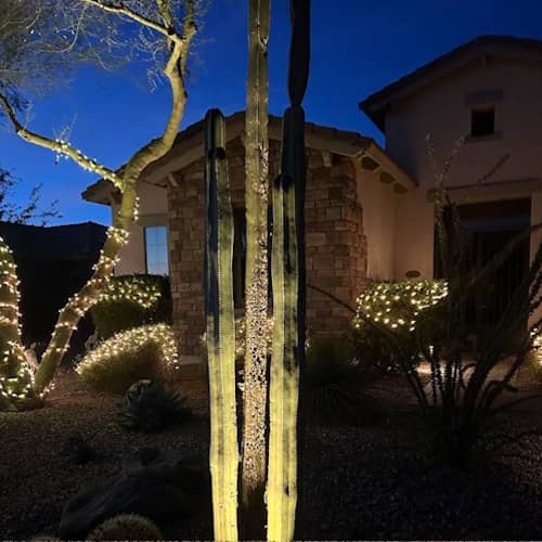 Exterior House Washing