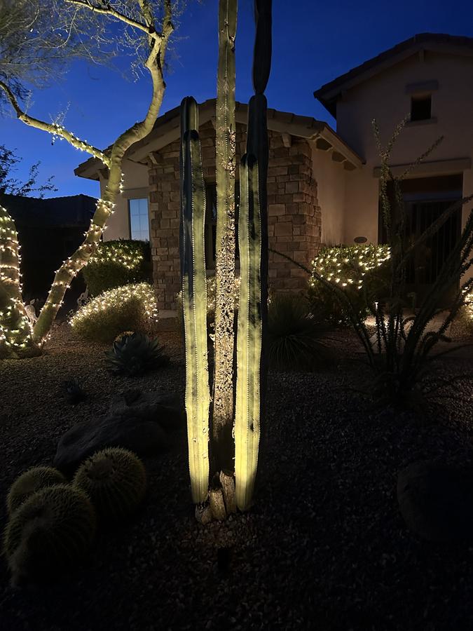 Landscape Lighting Revamp in Deer Valley, AZ Thumbnail