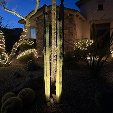 landscape-lighting-revamp-in-deer-valley-az 4