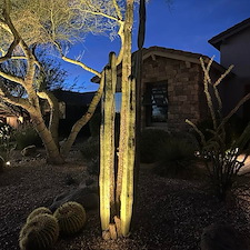 landscape-lighting-revamp-in-deer-valley-az 1