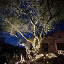 landscape-lighting-revamp-in-deer-valley-az 0