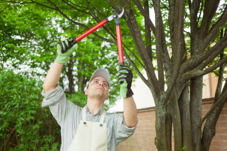 General Tree Pruning