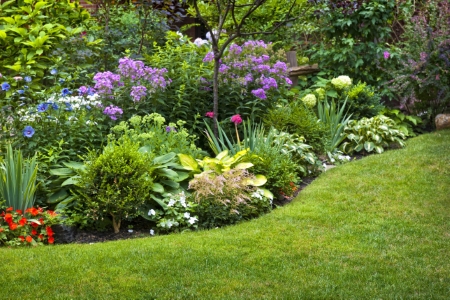 Horticulturalist Consulting